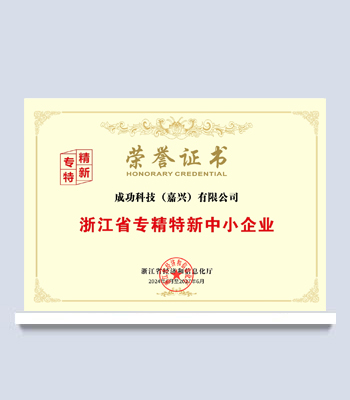 浙江省专精特新中小企业